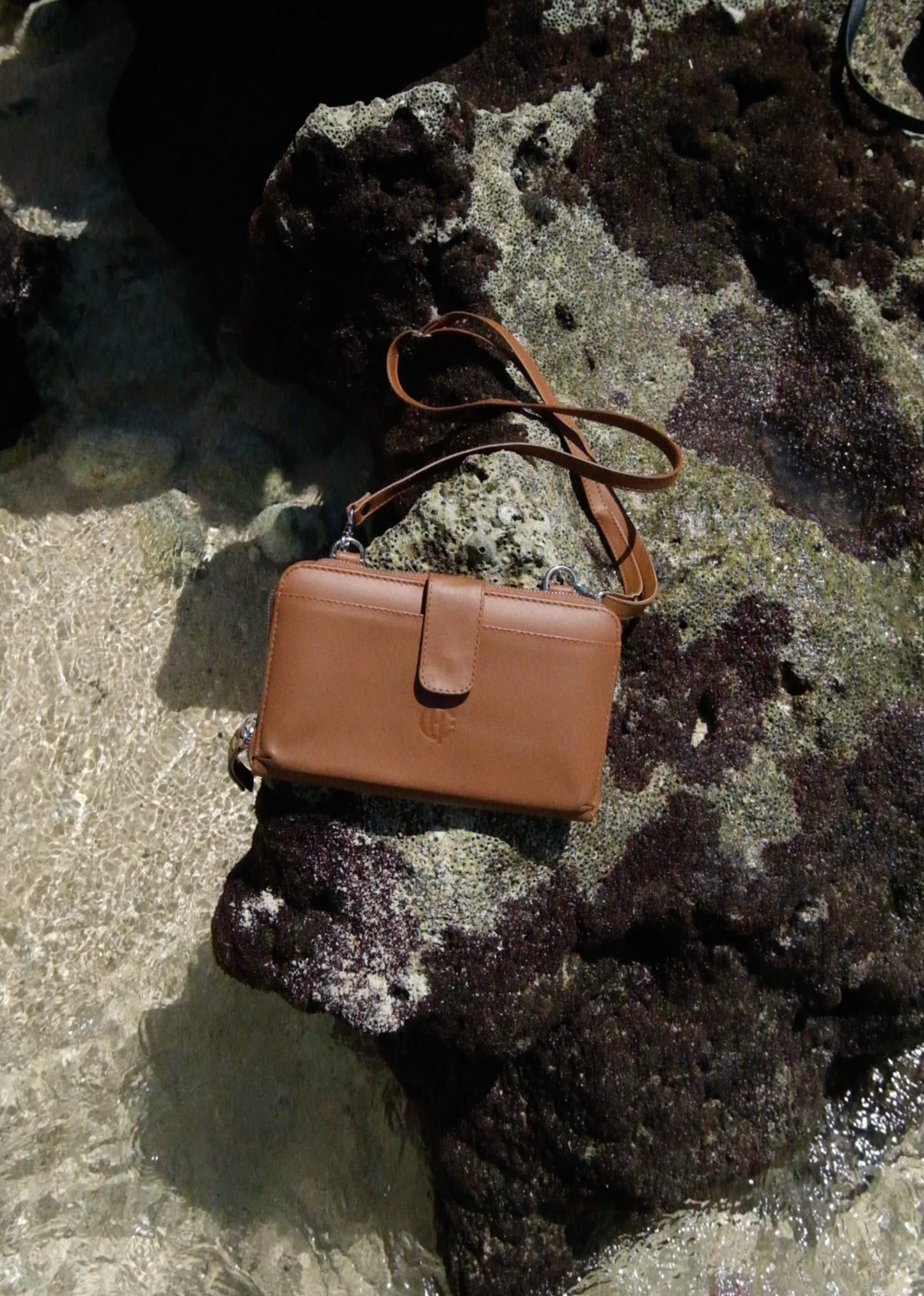 Geneva Wallet Sling in Brown