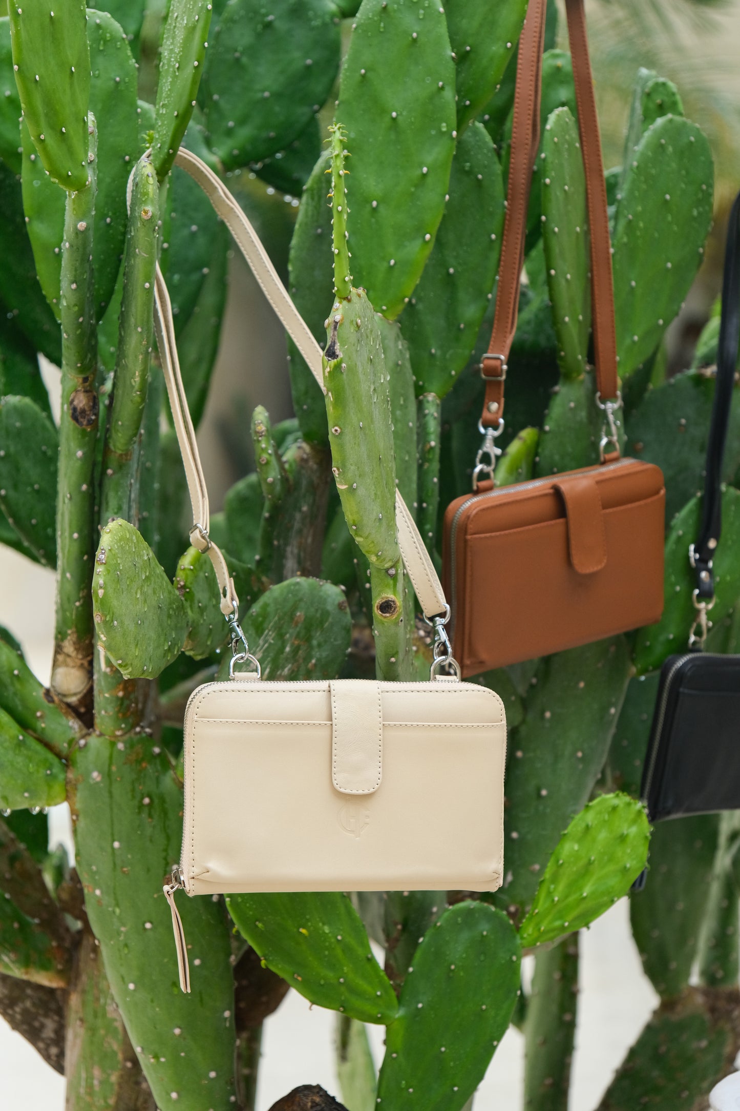 Geneva Wallet Sling in Creme